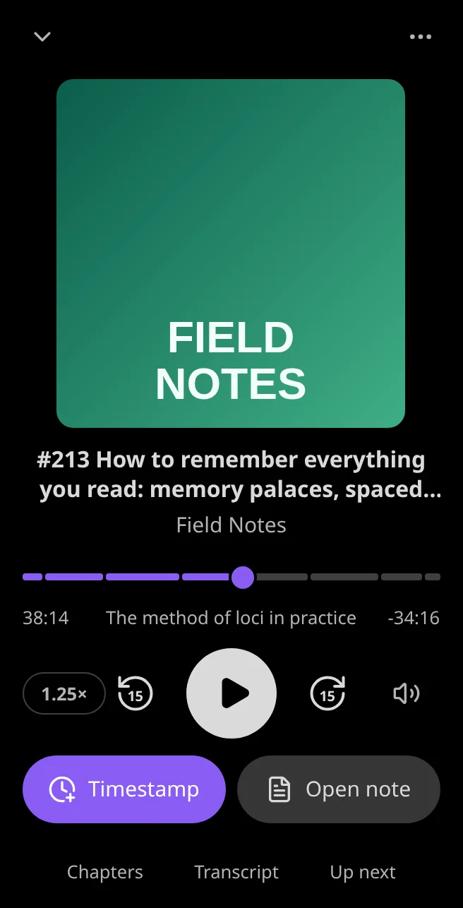 The full player on a phone: artwork, title, a progress bar split into chapters, playback controls, Timestamp and Open note, and the panel buttons